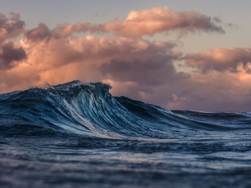 AI-Powered Monitoring System Successfully Deployed